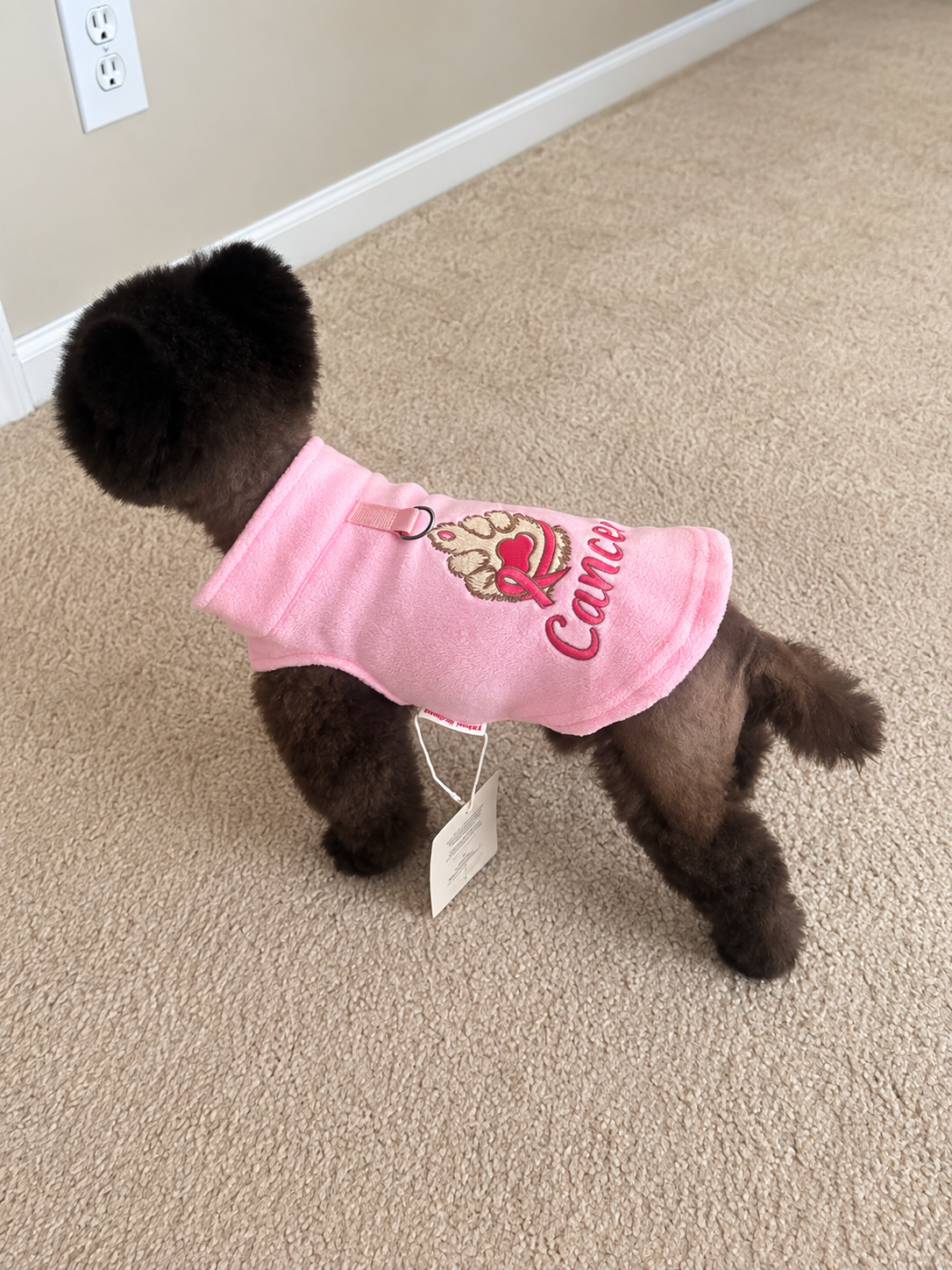 A small black Pomeranian dog wearing a soft pink fleece pet shirt with a pink ribbon and the word 'Cancer' on the front, sitting on a light wood floor in an indoor setting.
