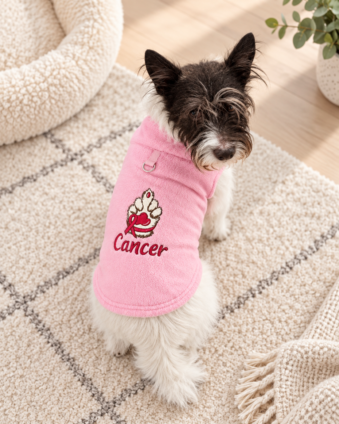 A medium size terrier mix wearing a soft pink fleece pet shirt with a pink ribbon and the word 'Cancer' on the front, sitting on a light wood floor in an indoor setting.
