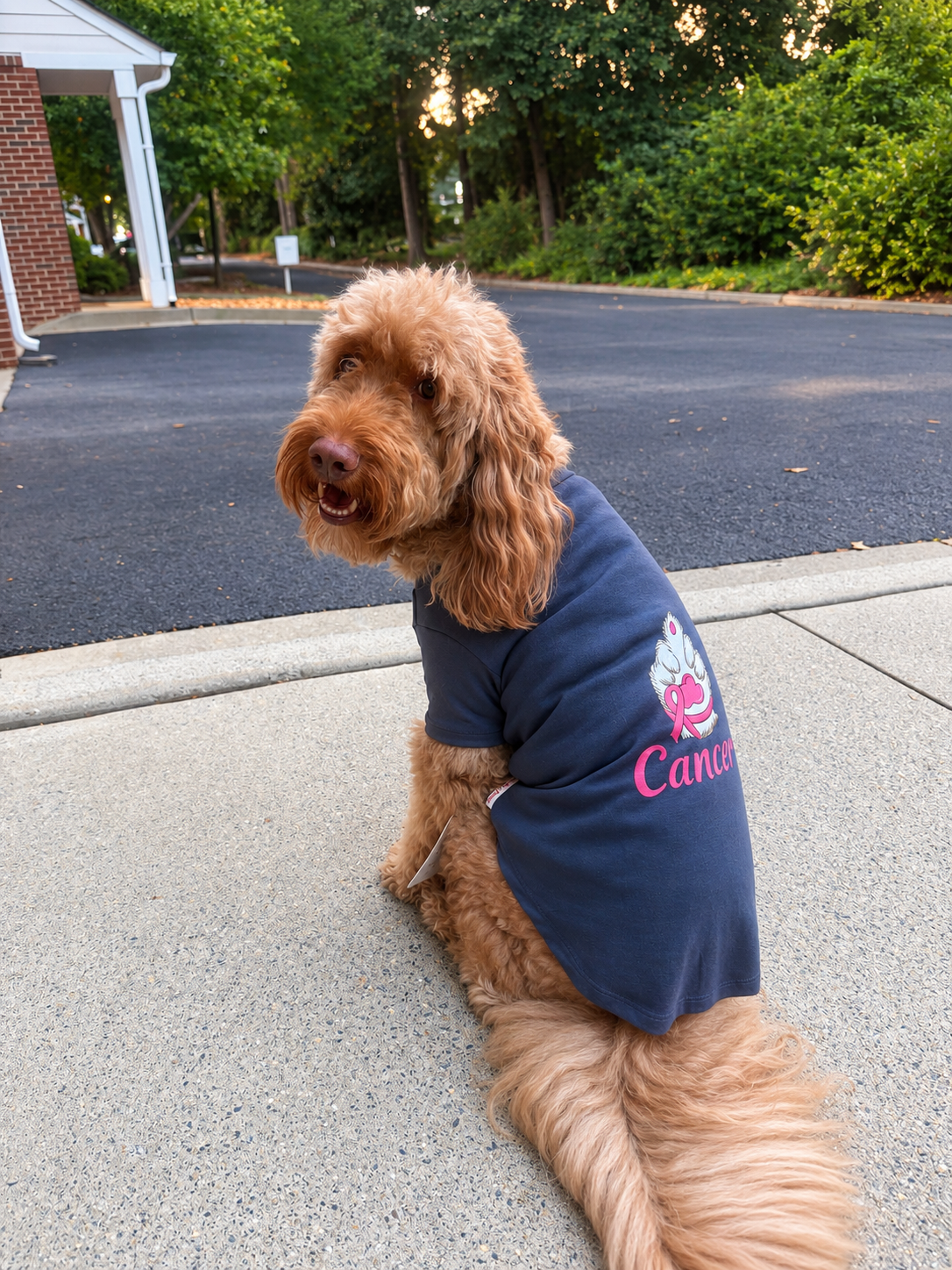 A golden doodle dog sitting on a concrete sidewalk wearing a navy blue t-shirt with a pink and white graphic that reads 'Cancer' with a butterfly. The background shows a paved road, trees, and a house.