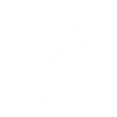 Honoring Survivors