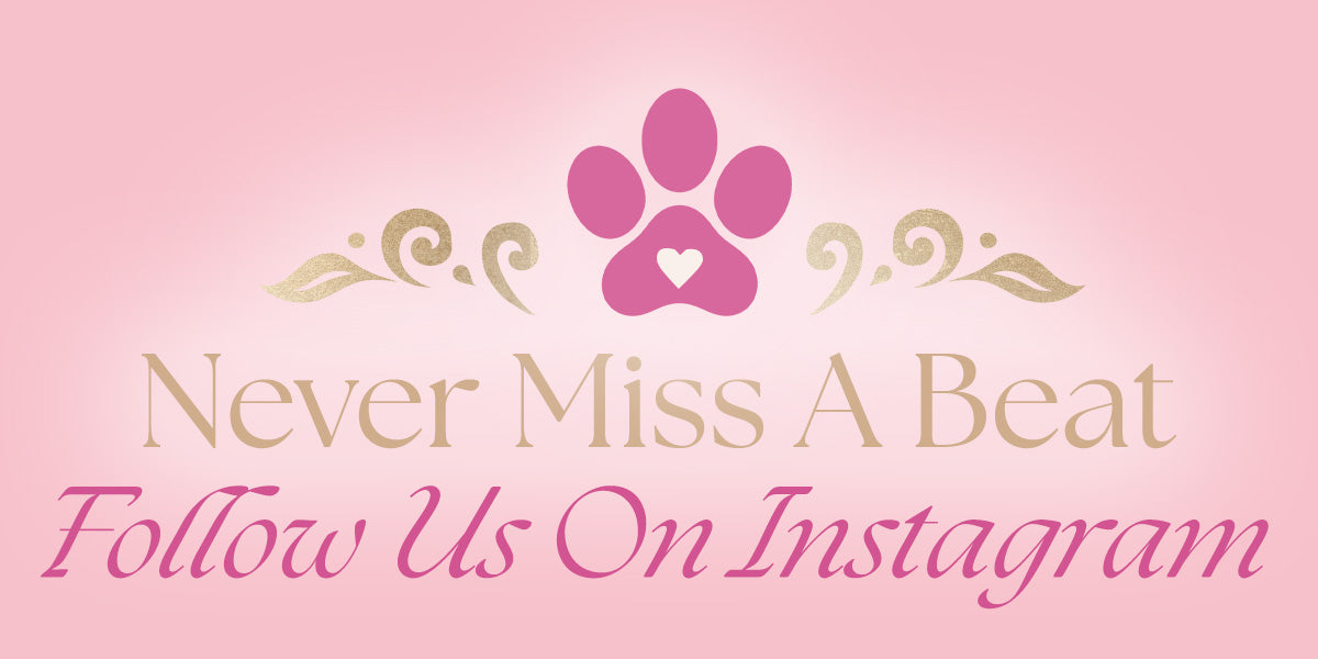 follow naughty pawzz on instagram